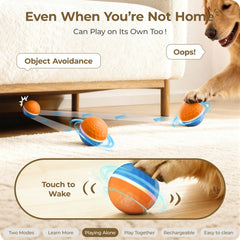 Apasiri unibody-casing design minimizes choking risks during vigorous chewing.