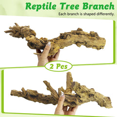 Apatal reptile branch decor: bearded dragon habitat enhancement with secure climbing structure.