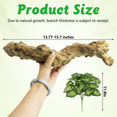 Apatal reptile branch decor: wooden terrarium branch adds natural texture and perching space.