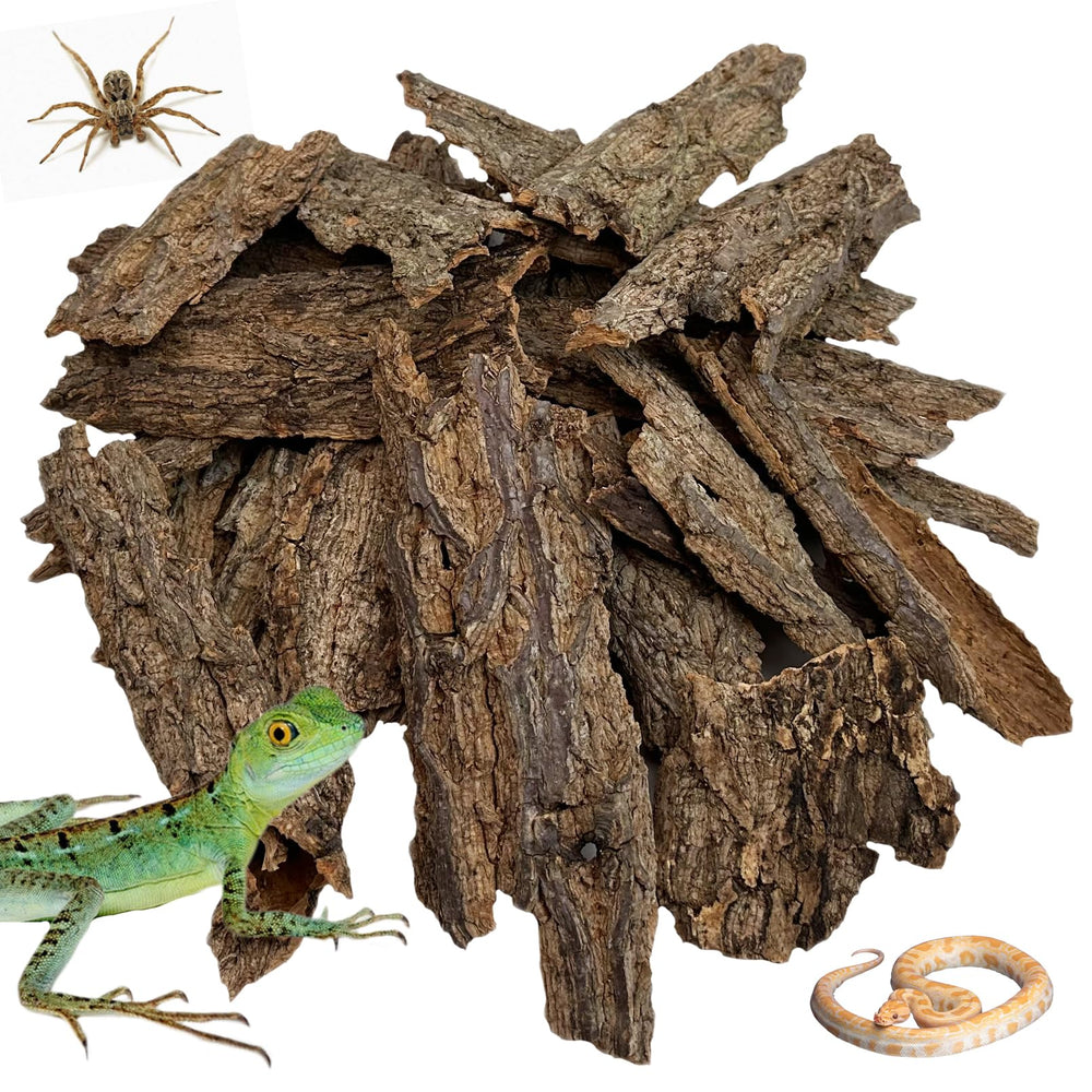 Apatal reptile cork bark bulk 2lb ready as natural terrarium bedding