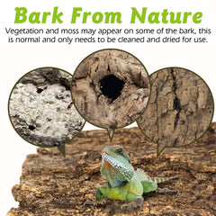 Apatal reptile substrate DIY backdrop image demonstrates versatile backdrop options