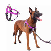 APDEXY Freedom front clip no-pull for calmer walks and training
