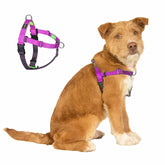 APDEXY Freedom No-Pull harness front clip for safer, controlled walking with your small dog.