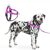 APDEXY Freedom No-Pull Harness front clip for no-pull training keeps dogs by your side.