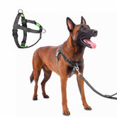 APDEXY No Pull Front Clip Harness for training and walking beside you.