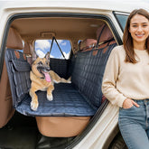 APetsPlanet backseat extender with door covers protecting doors while boosting dog comfort.