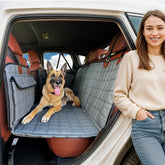 APetsPlanet backseat extender shields car doors during pet rides.