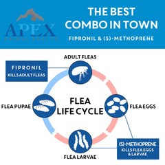APEX Plus 30-day protection calendar indicates month-long coverage