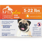 APEX PLUS small dog bottle application shows easy topical treatment for flea prevention