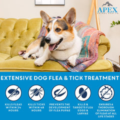 APEX Plus spot-on application on a dog ready for treatment