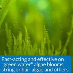 API ALGAEFIX algae-clear water demonstrates fast-acting bloom control.