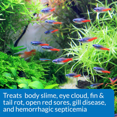 Measuring dose and adding API FIN & BODY CURE to freshwater aquarium