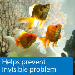 API freshwater aquarium setup illustrating compatible water testing routine