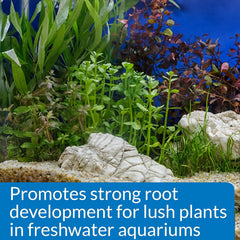 API root tabs aid new plant establishment in substrate