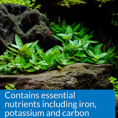 API nutrient blend with iron, potassium, and carbon for plant vitality