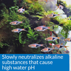 API pH Down dosing action supports gradual, controlled pH changes