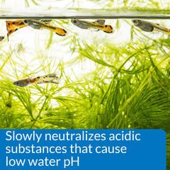 API pH UP in setup water image marking pH increase for community tanks