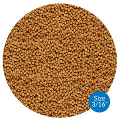 API POND COOL WATER FOOD pellets close-up highlighting pellet texture and nutrition.