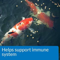 API Pond Fish Food feeding window demonstrates 2β3 daily servings.