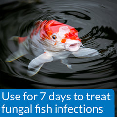 API PondCare PimaFix label with dosage directions for pond treatment.