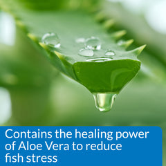 API Stress Coat tank application demo removes harmful tap water chemicals.