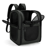 Apollo Walker carrier backpack front view shows roomy interior for small pets, comfortable travel