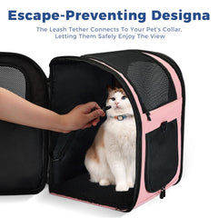 Apollo Walker ventilation mesh panels provide airflow for anxious pets during travel.