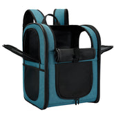 Apollo Walker teal carrier backpack on trail keeping pet secure and hands-free.