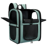 Apollo Walker ventilated carrier backpack keeps small pets comfortable during hiking and travel
