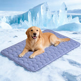 APPKER dog cooling mat with arc-chill fabric cools pets on contact.