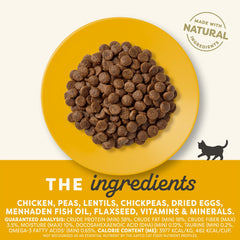 Applaws dry kitten kibble closeup highlights high-protein bites for active days.