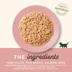 Applaws kitten wet food in bowl highlights moisture and inviting texture.