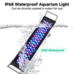 AQQA 24/7 mode simulates day-night cycle to enhance tank aesthetics.