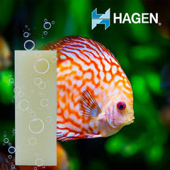 AquaClear A623 foam insert in-filter view; uniform layers support steady water flow.