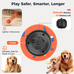 Orange Aquamorph ball featuring motion-activation for indoor fetch and entertainment