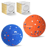Aquamorph two-pack interactive dog balls in blue and orange for dual-dog play