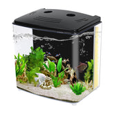 AQUANEAT 1.2-gallon fish tank with LED light highlighting vibrant colors