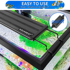 AQUANEAT full-spectrum LEDs create balanced color for freshwater displays