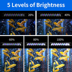 AQUANEAT brightness control close-up shows five adjustable levels for customized lighting