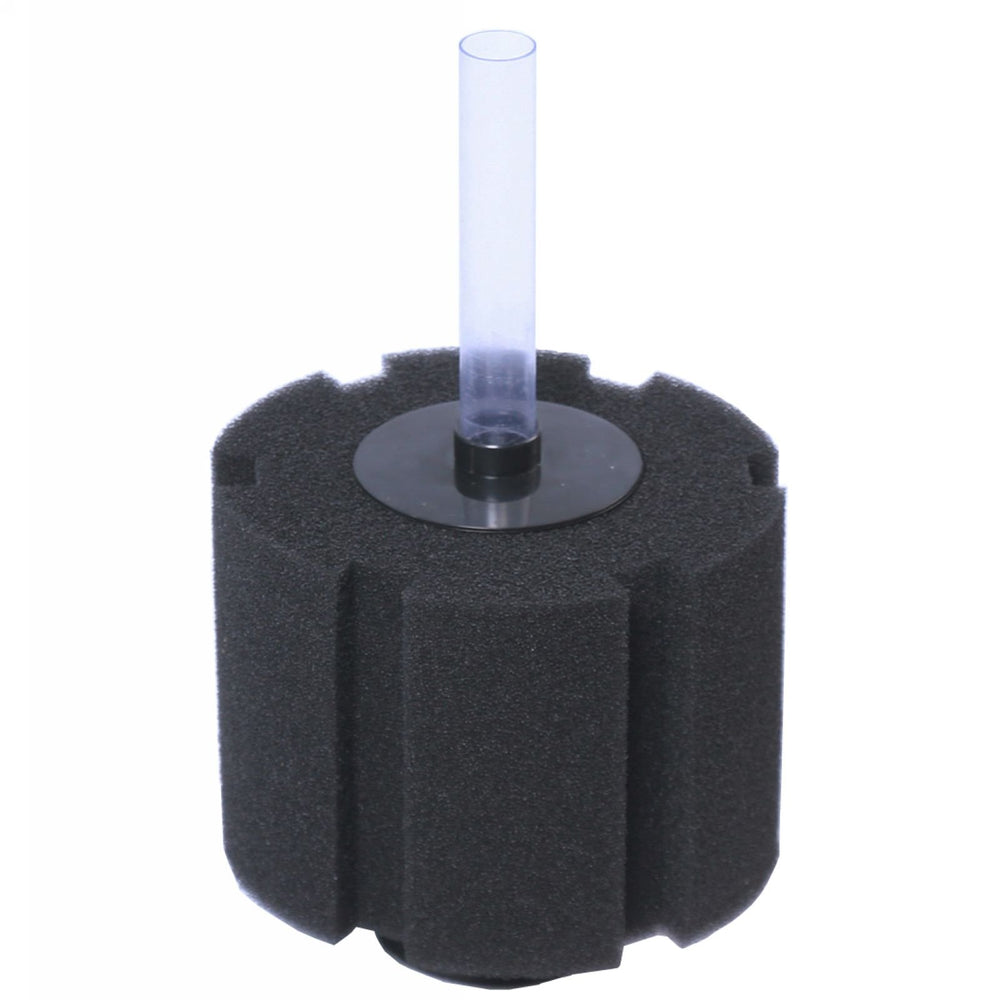 AQUANEAT X Large bio sponge filter in use supports mechanical and biological filtration for thriving fry