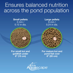 Aquascape probiotic pellets support digestion and cleaner pond water.