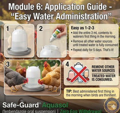 Eggs stay safe during Aquasol use with no withdrawal period