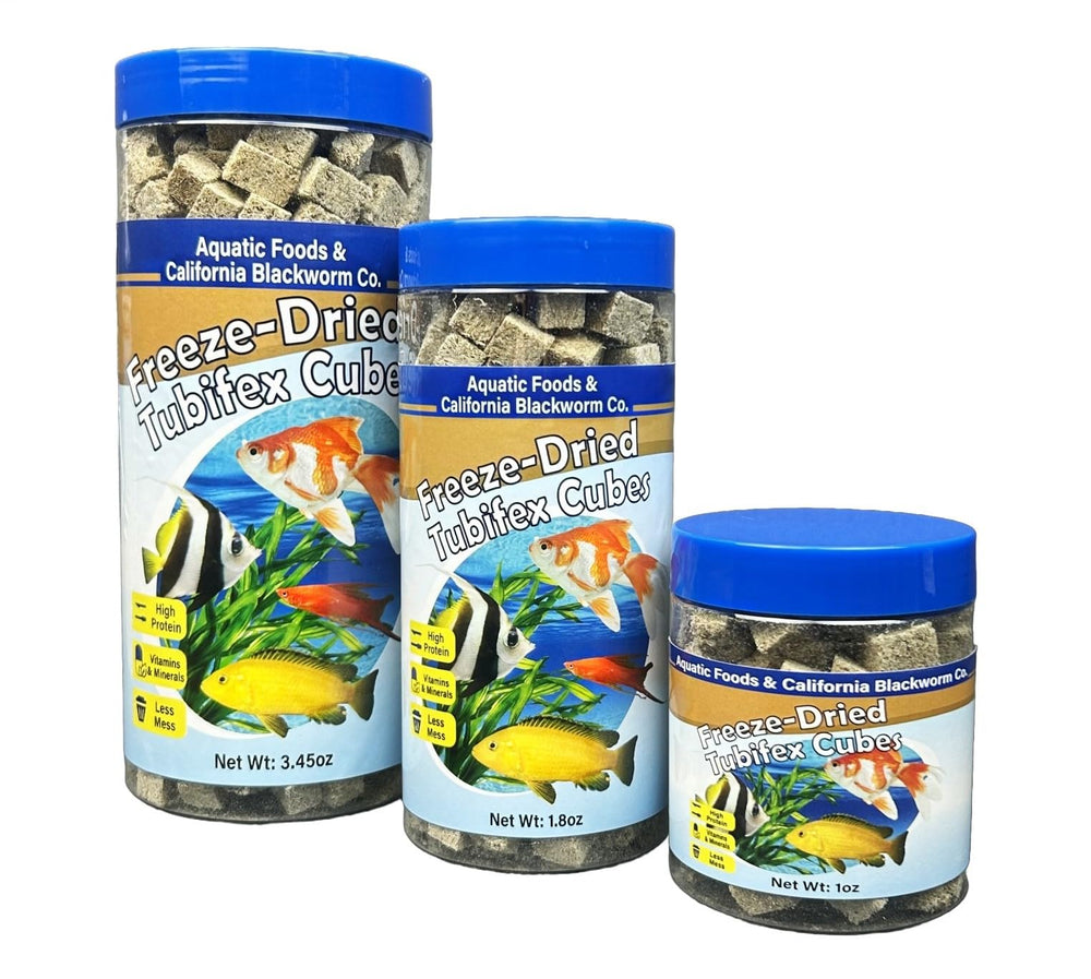 Aquatic Foods tubifex worm cubes in a jar close-up for tropical fish diets