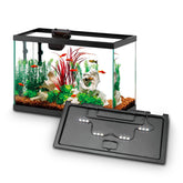 Aqueon Starter Kit with SmartClean filtration keeps water clean and easy to maintain