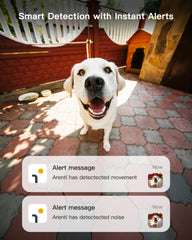 ARENTI 5G 4MP pet camera 2-way talk enables quick check-ins.