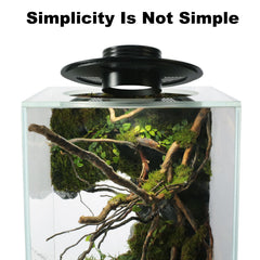 AREPK LED terrarium light over a betta tank provides vivid color.