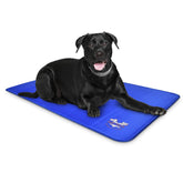 Arf Pets cooling mat in crate keeping a large dog cool and comfortable.