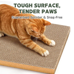 ARGOPET scratch pad box and lounge bed demonstrates neat furniture protection.