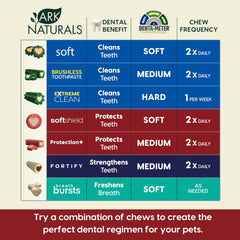 ARK NATURALS Protection+ supports gum health with antioxidant astaxanthin.
