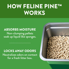 Lightweight, dust-free pine litter suggesting easy handling for daily maintenance.